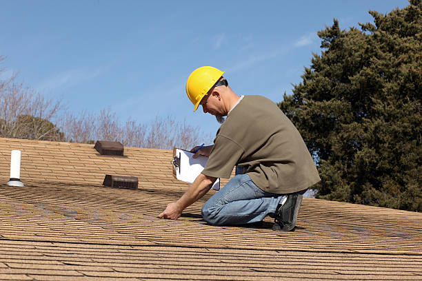 Best Roof Moss and Algae Removal  in Ohioville, PA